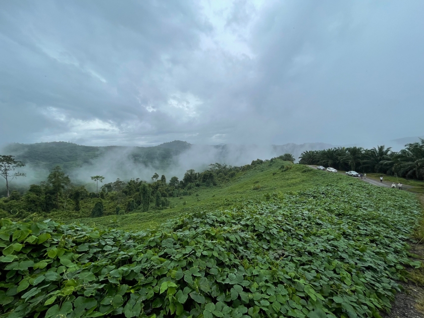 Degraded lands in Sabah