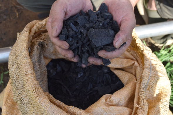 Biochar before it is spread over soil