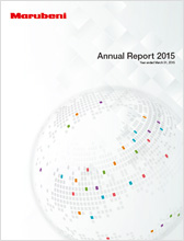 Annual Report 2015