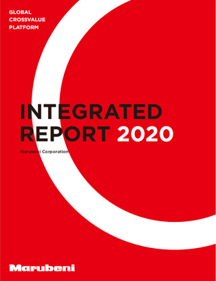 Annual Report 2020