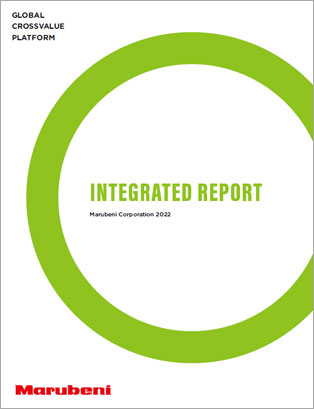 Integrated Report 2022