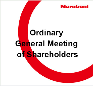 Annual General Meeting of Shareholders