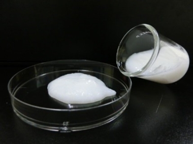 ACC cellulose nanofiber nanoforestⓇ