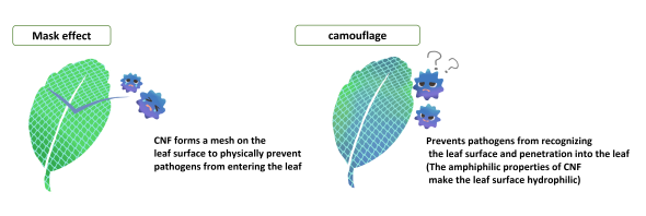 nanoforest🄬 -S Two functions of [Agri] 