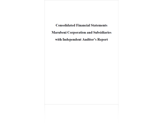 Consolidated Financial Statements with Independent Auditor’s Report