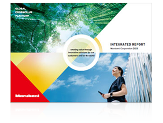 Integrated Report/Annual Report